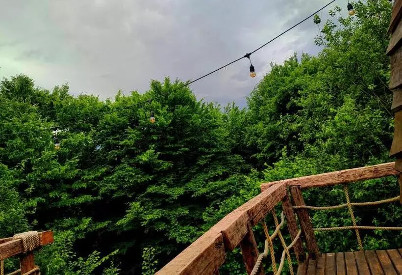 Căsuțele De Sub șipote