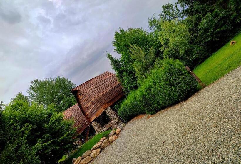 Căsuțele De Sub șipote