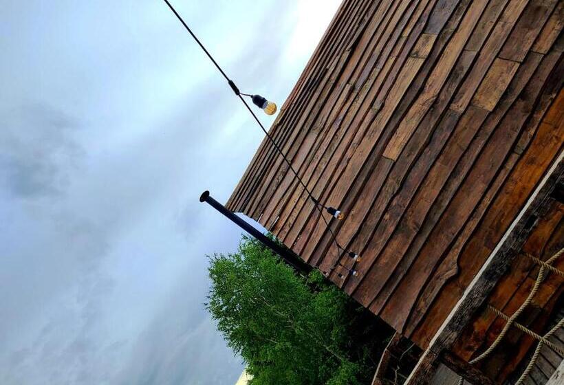 Căsuțele De Sub șipote