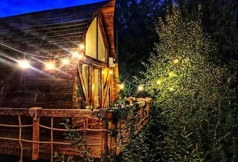 Căsuțele De Sub șipote