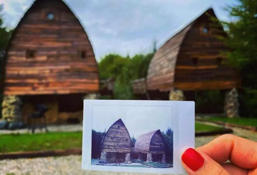 Căsuțele De Sub șipote