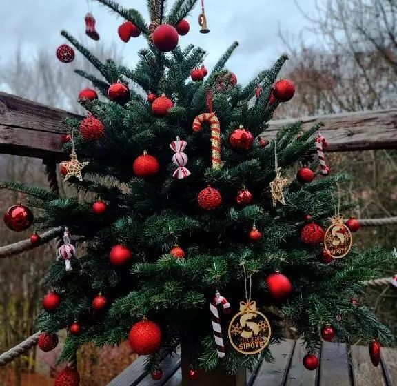 Căsuțele De Sub șipote