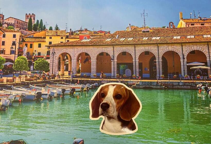 Desenzanoloft Dolce Vita