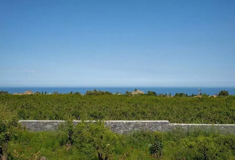 Loft Sole By Wonderful Italy