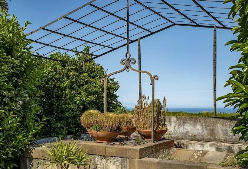 Loft Sole By Wonderful Italy