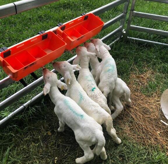 The Cottage Sojourn Kangaroo Valley