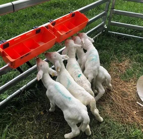 The Cottage Sojourn Kangaroo Valley