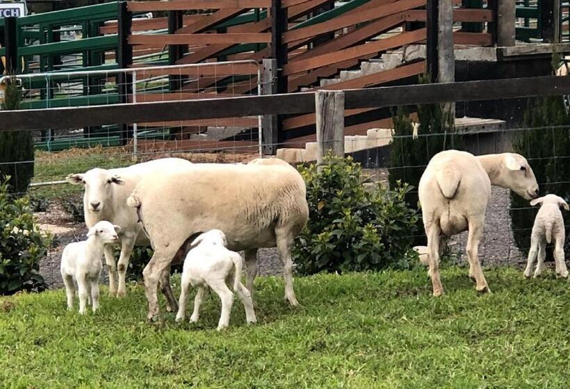 The Cottage Sojourn Kangaroo Valley