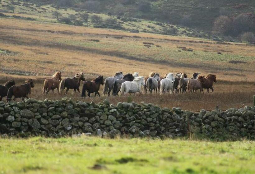 تختخواب و صبحانه Woodbriar