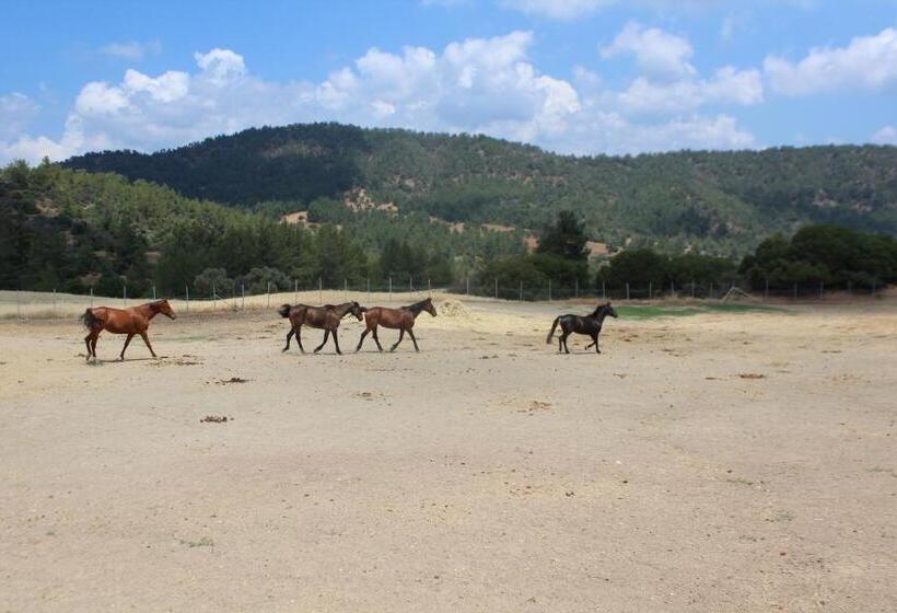 Gaia Residence, Peristerona, Polis Chrysochous