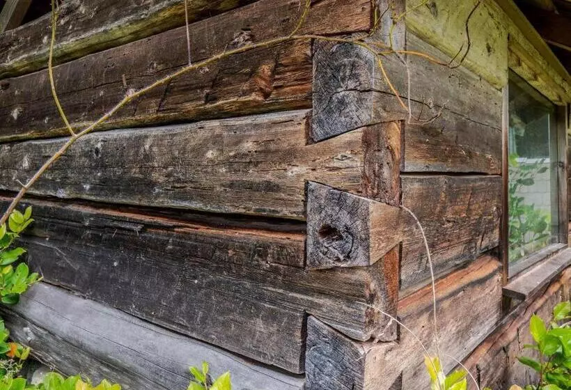 North Lake Waterfront Home