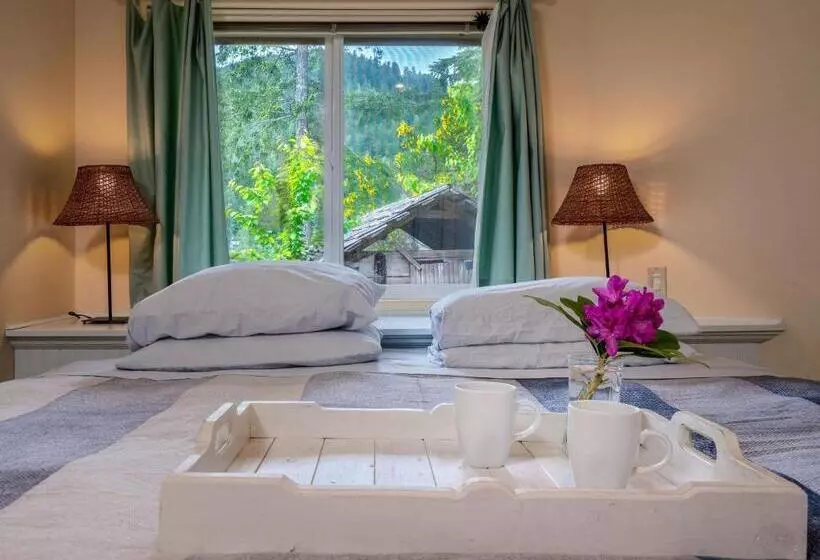 North Lake Waterfront Home