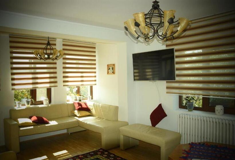 پانسیون Casa Smeilor Horezu