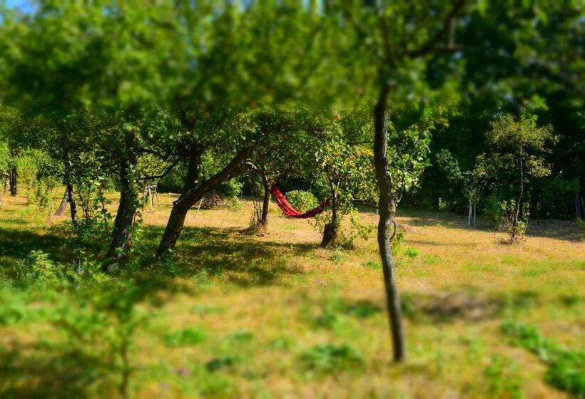 پانسیون Casa Smeilor Horezu