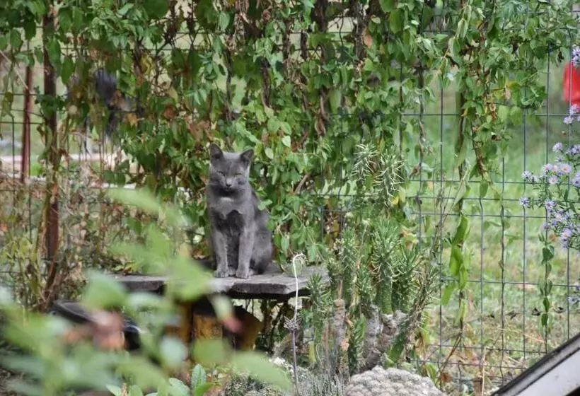 Majatalo Casa Smeilor Horezu