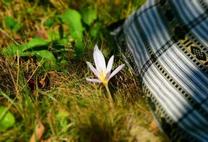 Majatalo Casa Smeilor Horezu