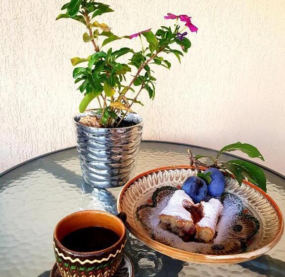 پانسیون Casa Smeilor Horezu