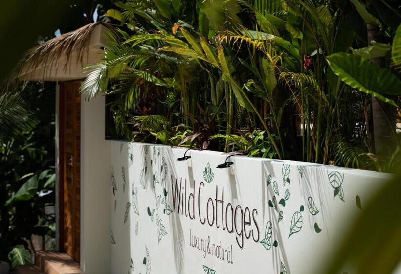 منتجع Wild Cottages Luxury And Natural   Sha Extra Plus Certified
