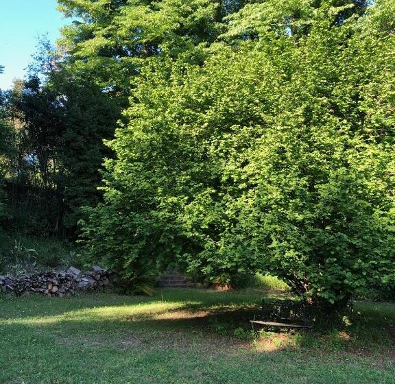Tuscia Castle Apartments