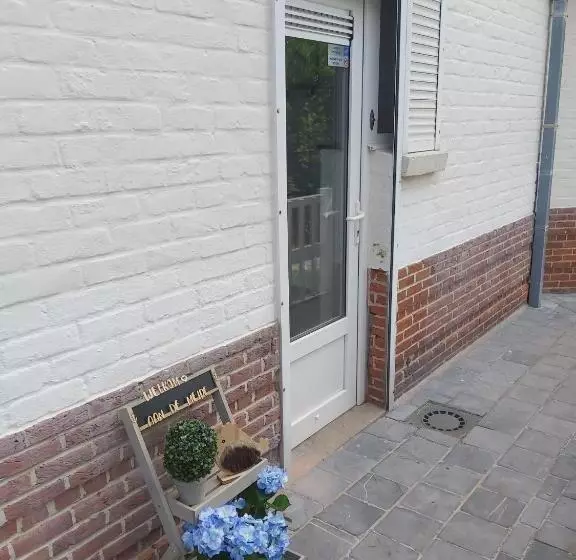 Aan De Meipe