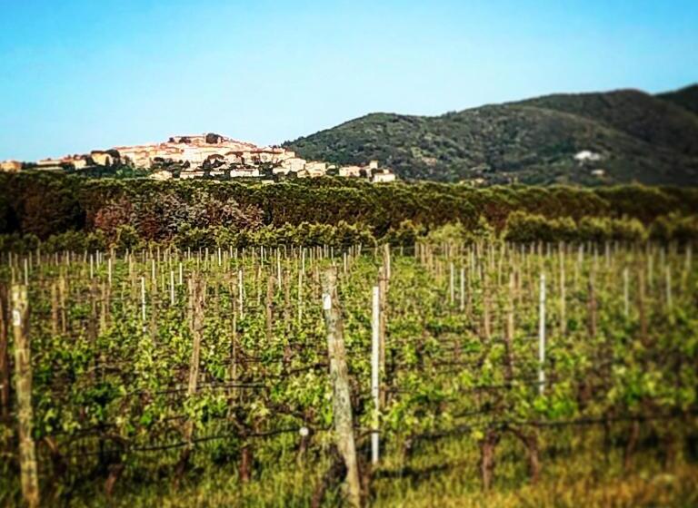 住宿加早餐  Anitta Guesthouse