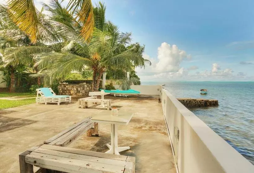 تختخواب و صبحانه Auberge Seafever