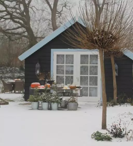 Bed & Breakfast De Appelaar