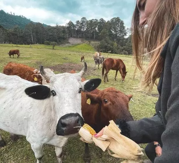 Majatalo Hospedagem Rural Recanto Do Riacho