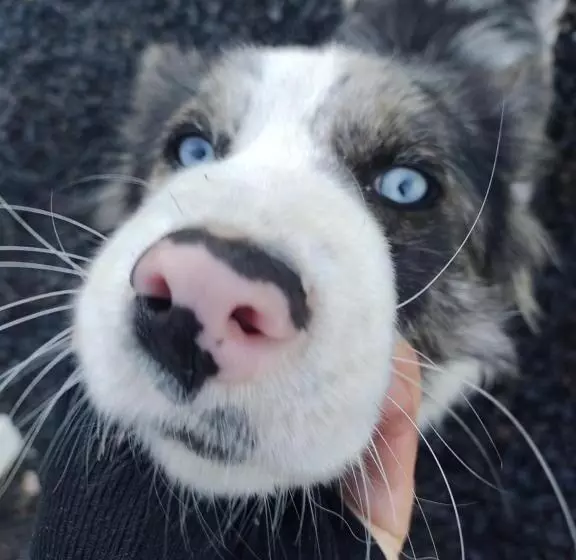 Majatalo Hospedagem Rural Recanto Do Riacho
