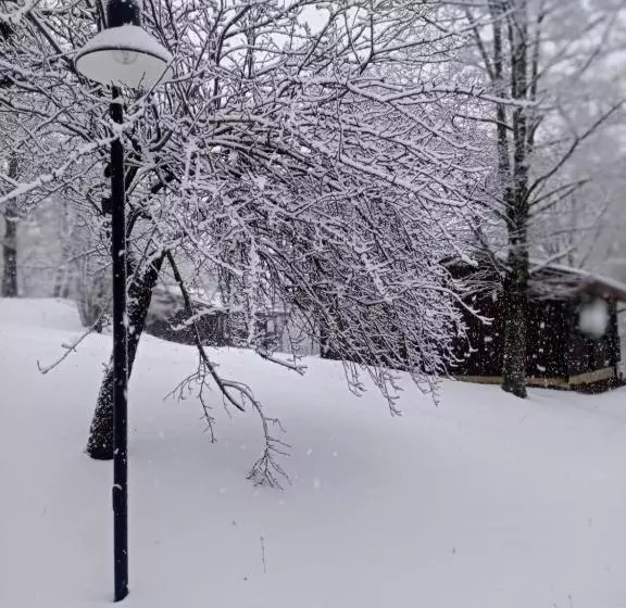 Villaggio Anemone   Chalet Castagno