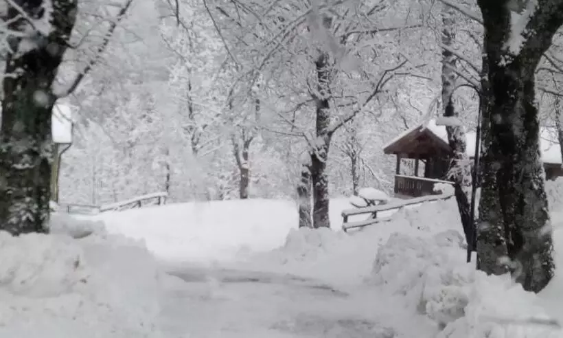 Villaggio Anemone   Chalet Castagno