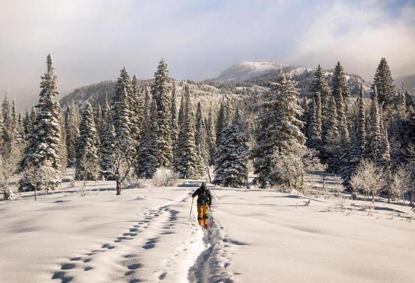 1005 Walk To Ski Modern Luxurious Townhome