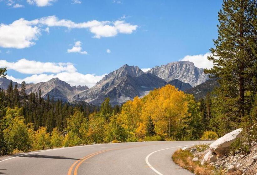 #538 Mid Town 1br, Pool, Spa, Close To Shops