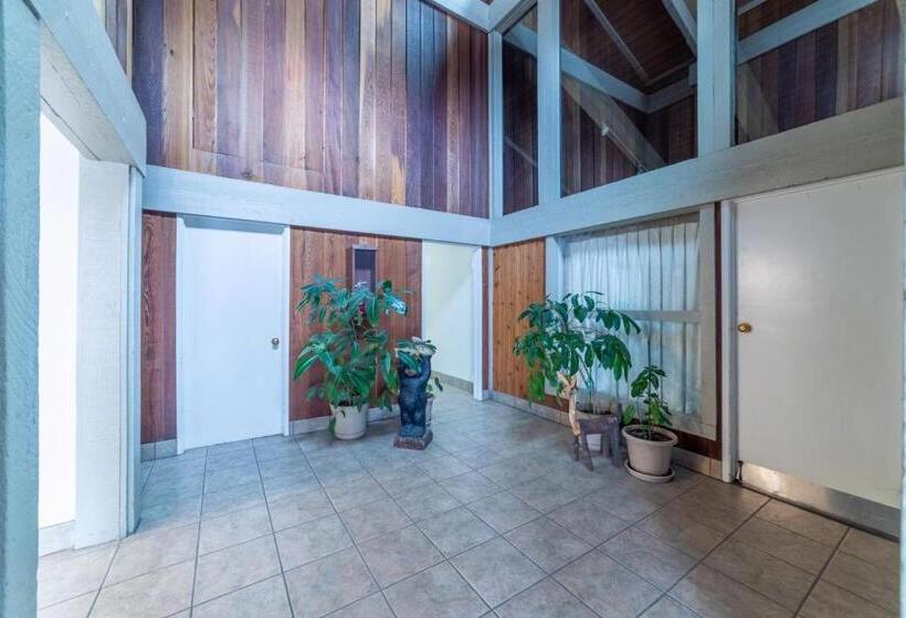 #538 Mid Town 1br, Pool, Spa, Close To Shops