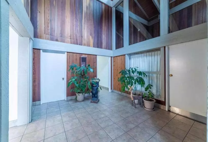 #538 Mid Town 1br, Pool, Spa, Close To Shops