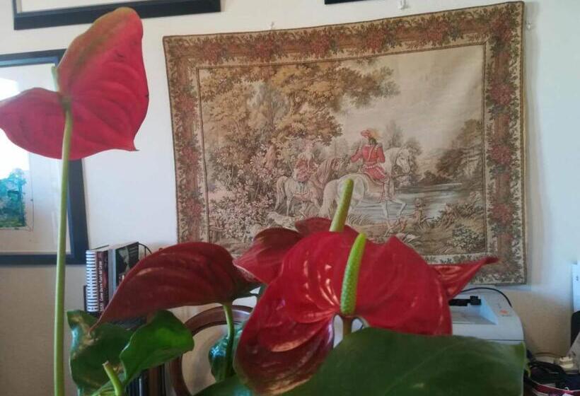 تختخواب و صبحانه Domus Aurea