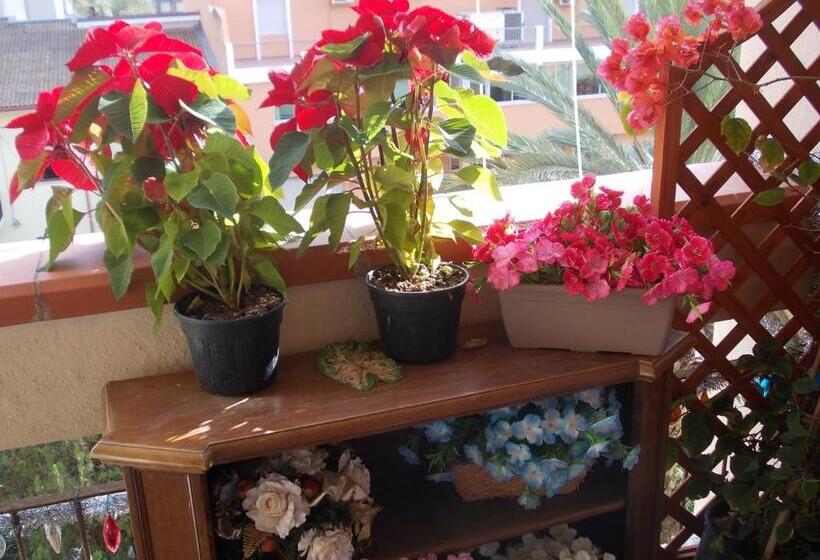 تختخواب و صبحانه Domus Aurea