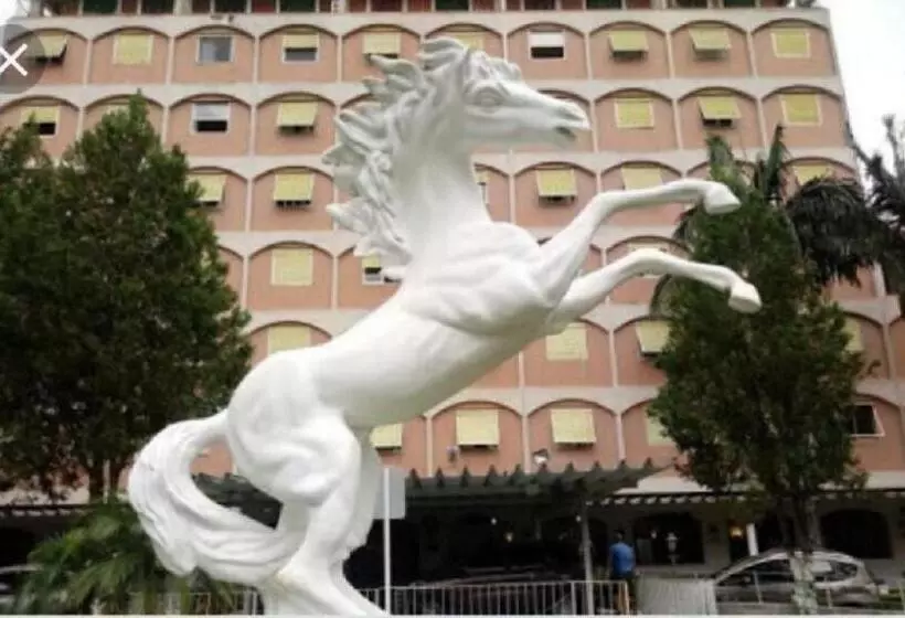 Cavalinho Branco   Apartamento 516