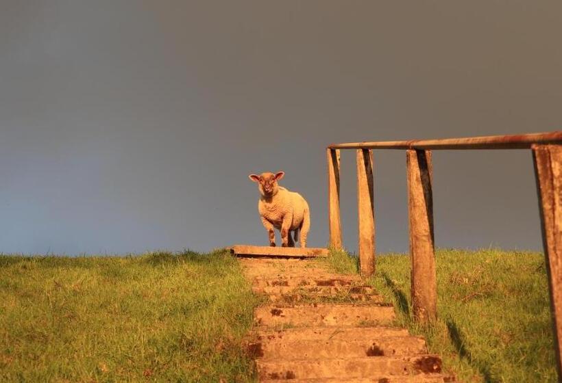 Ferienwohnung Marschkieker   Kleiner Deichhof
