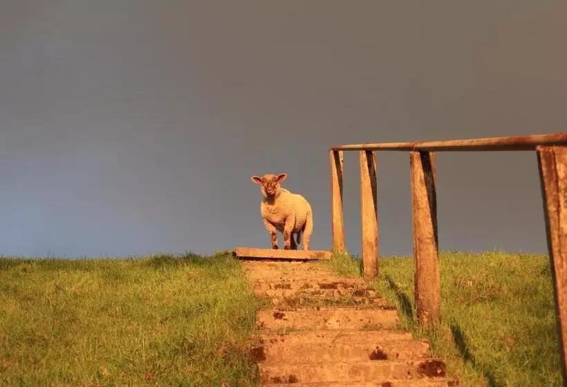 Ferienwohnung Marschkieker   Kleiner Deichhof