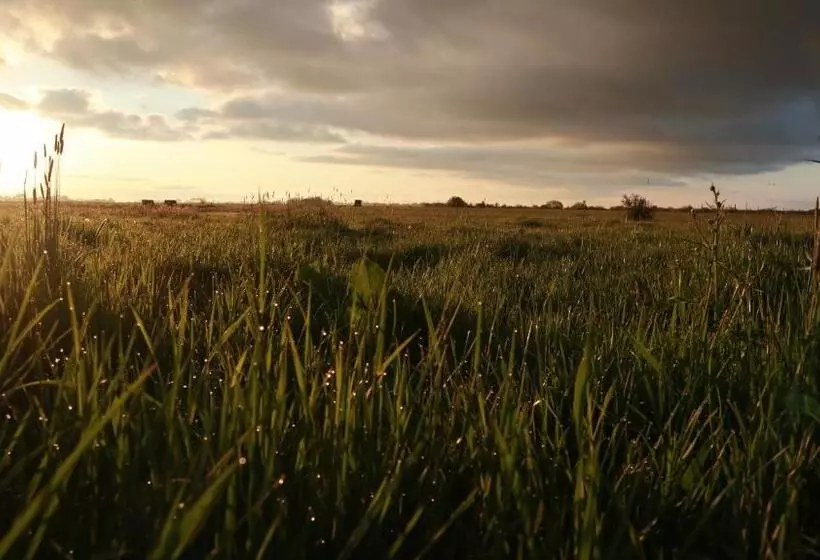 Ferienwohnung Marschkieker   Kleiner Deichhof
