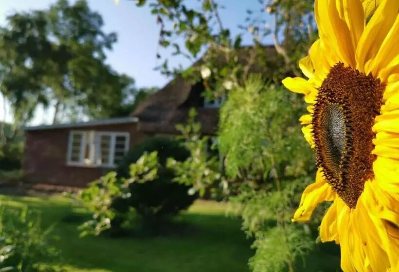 Ferienwohnung Marschkieker   Kleiner Deichhof