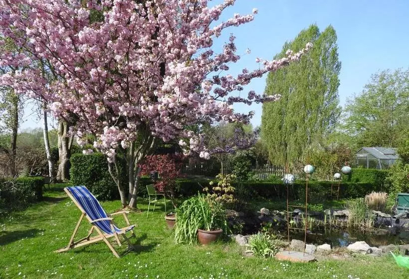 Le Gîte De La Reine De Hongrie