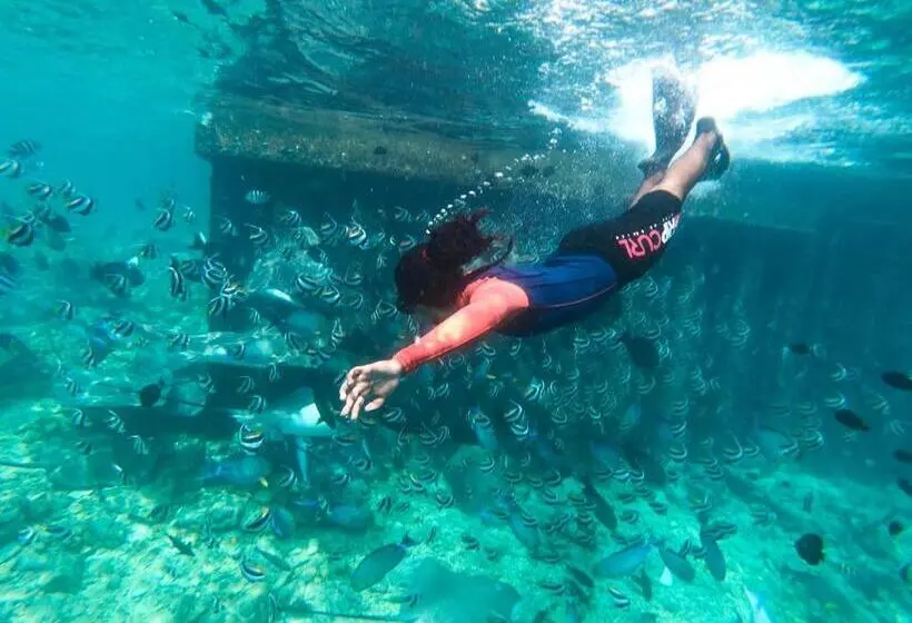 پانسیون Moodhu Surf House