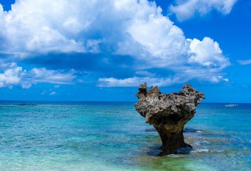 פנסיון Nel Beach Rosso / Vacation Stay 17520