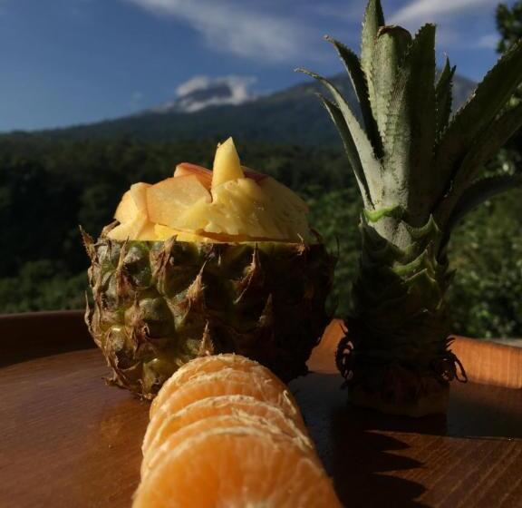 Общежитие Rinjani Houseboon