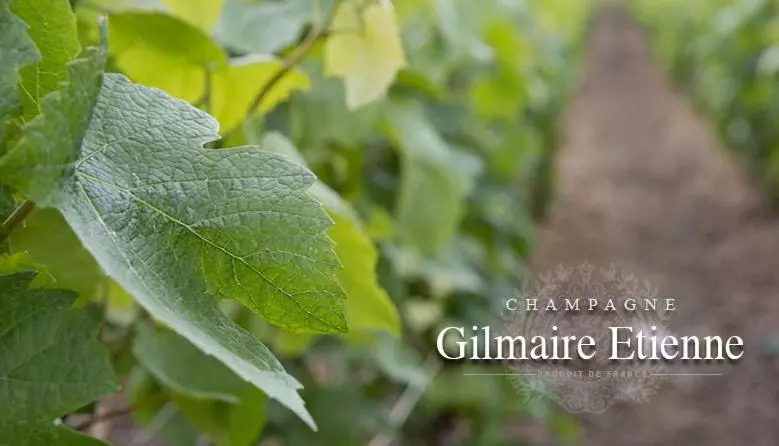 ベッドアンドブレックファースト L Appentis