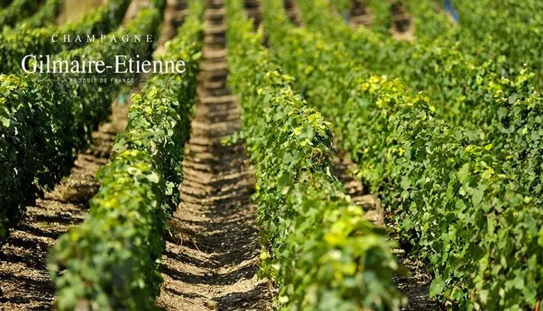 ベッドアンドブレックファースト L Appentis