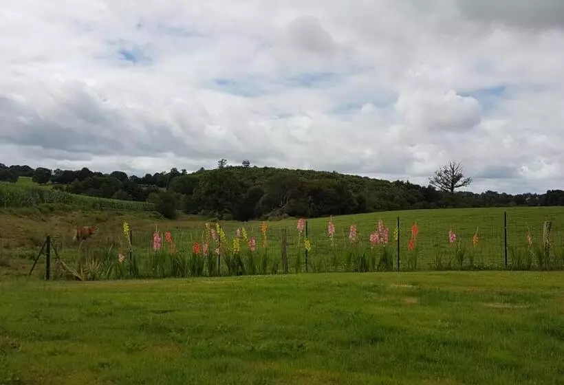 Aamiaismajoitus (B&B) La Thibaudiere Tilleul