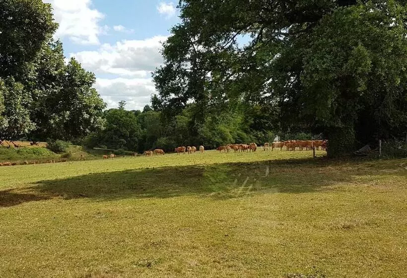 Aamiaismajoitus (B&B) La Thibaudiere Tilleul